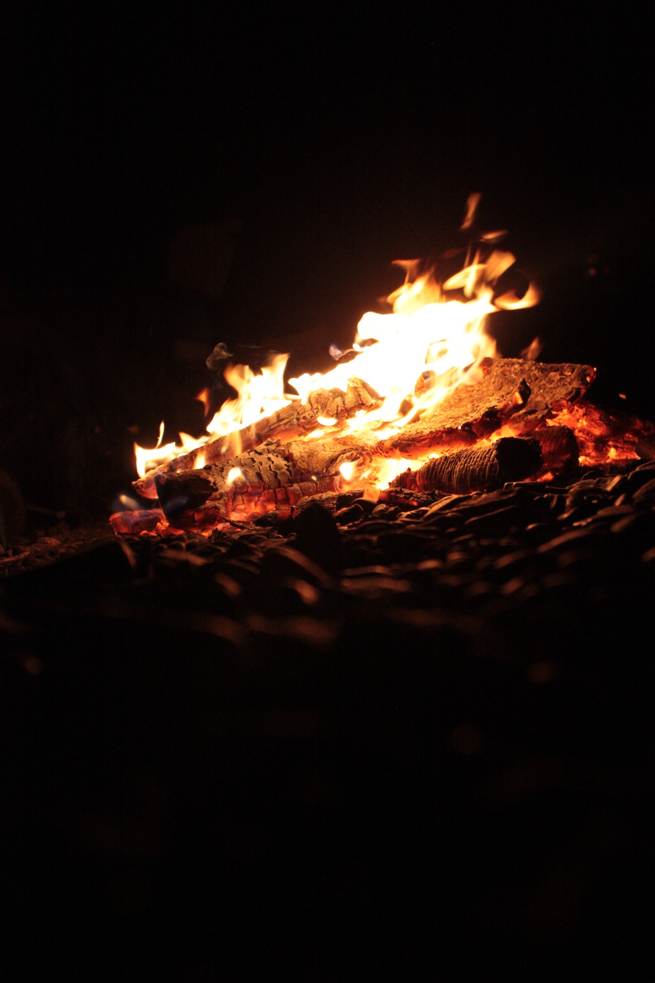 A campfire in the dark