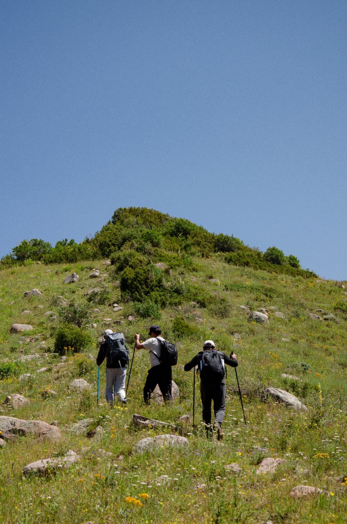 Hikers climbing a sunlit ridge