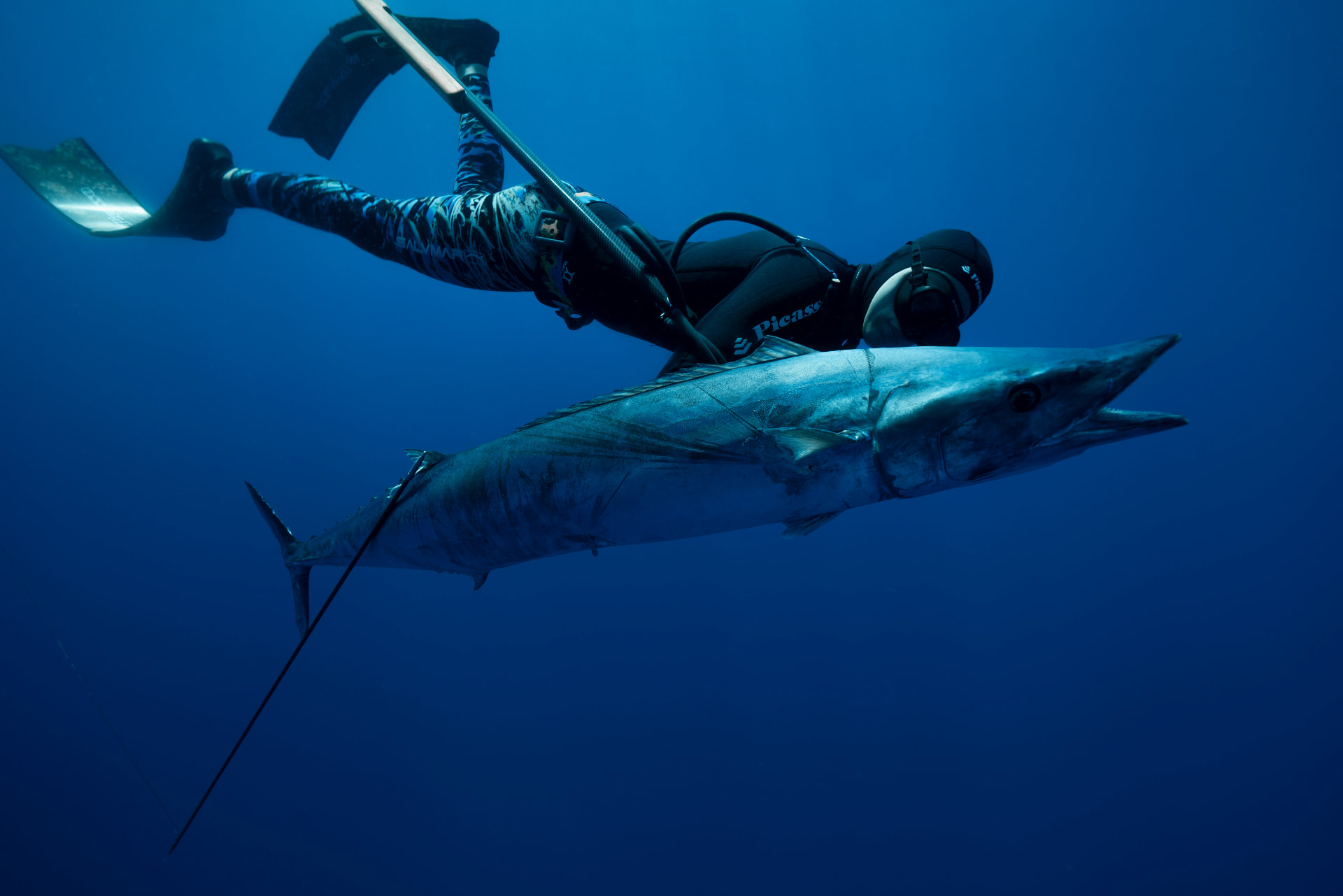 A spearfisherman diving below the surface among a school of fish